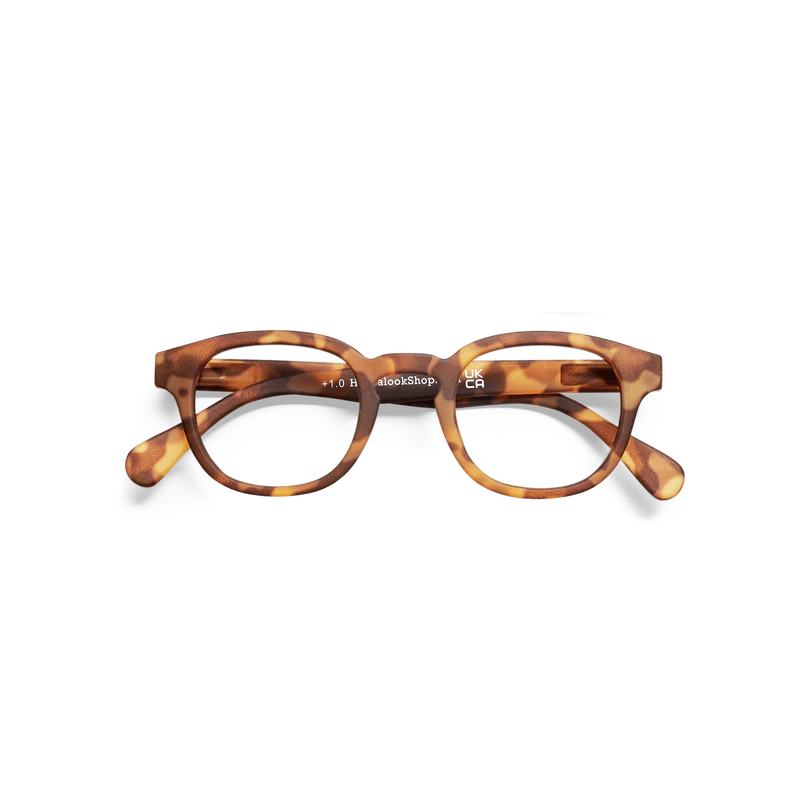 Type C Tortoise lesgleraugu