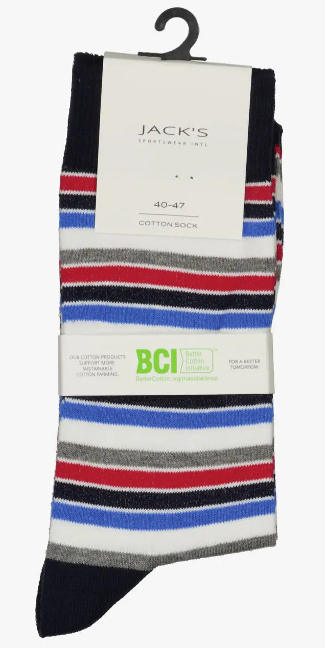 Block Striped Socks (Multi)