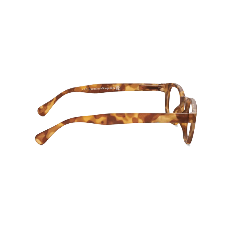 Type C Tortoise lesgleraugu