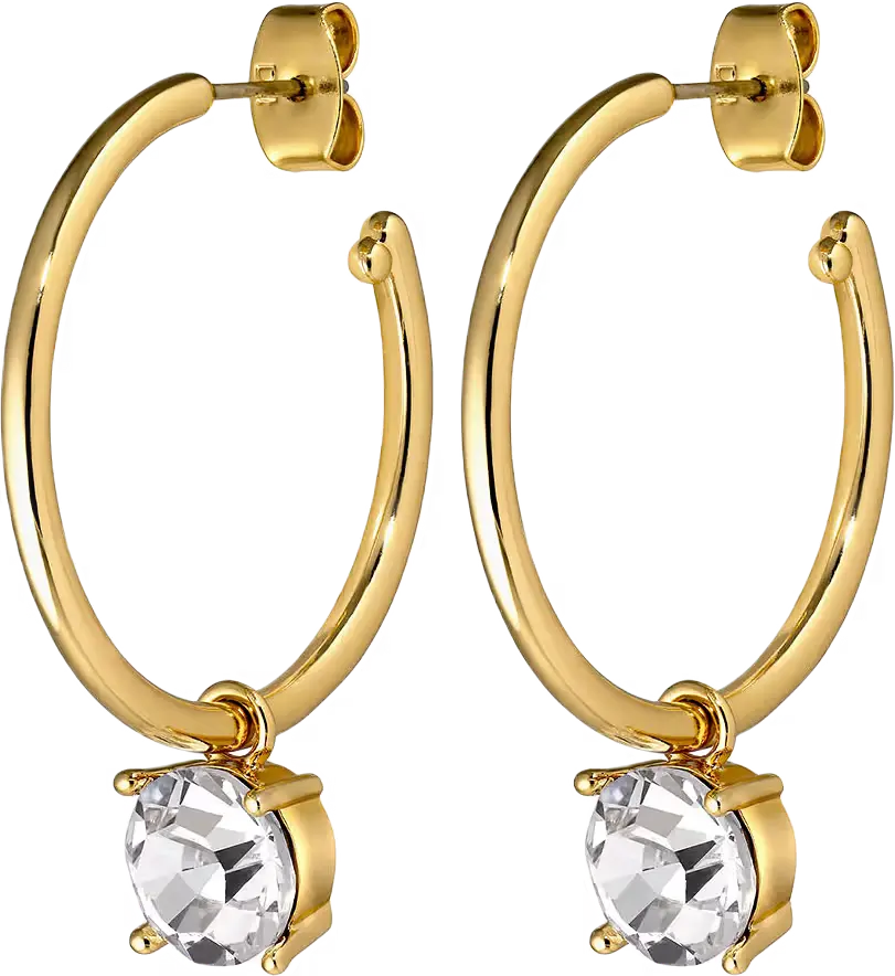 DIEGA SG CRYSTAL-EARPOST