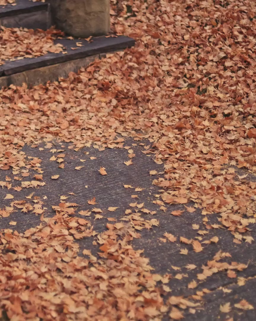 Haustlauf, hús og grasker að kvöldi, hrekkjavaka á Nordika, sími